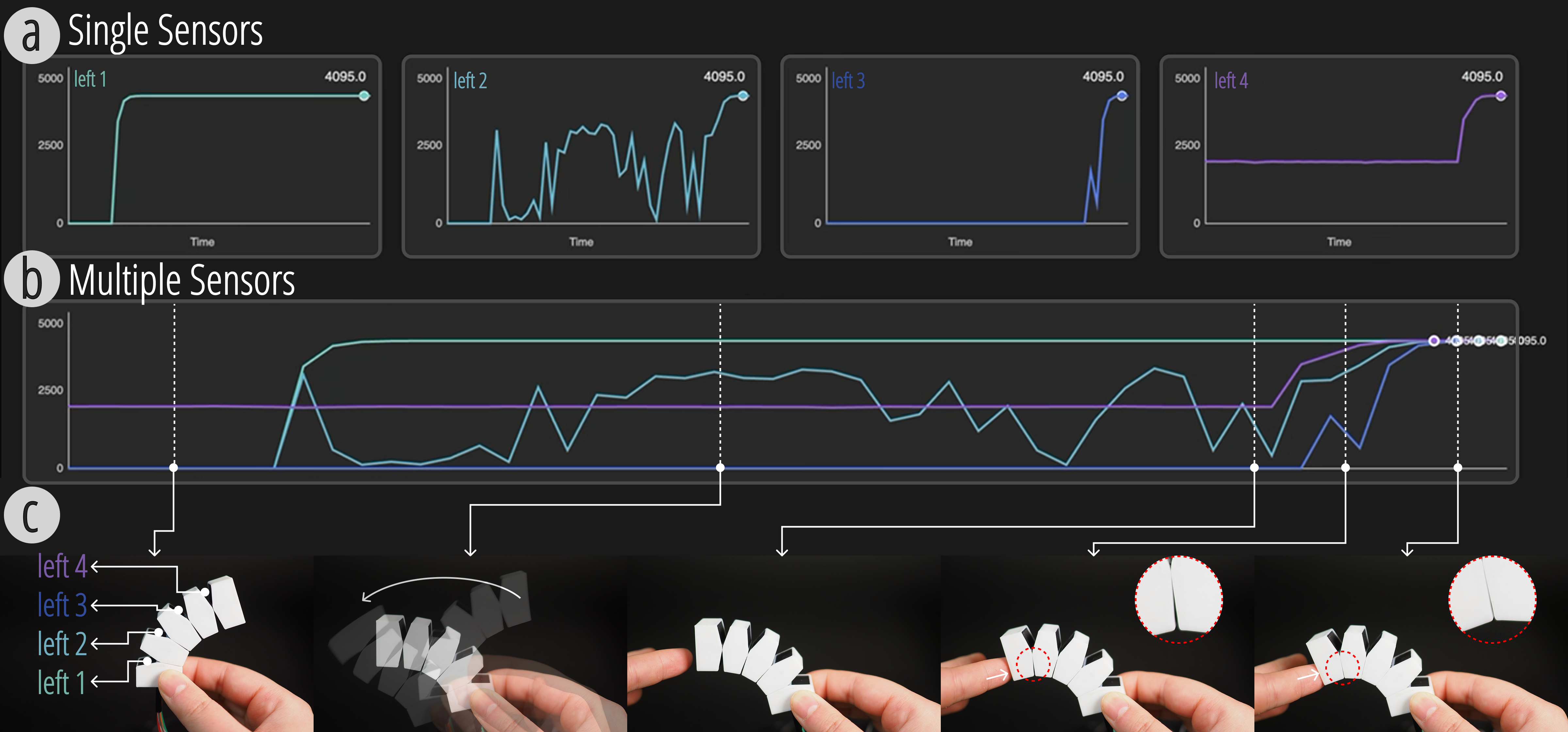 Xspine visualization interface