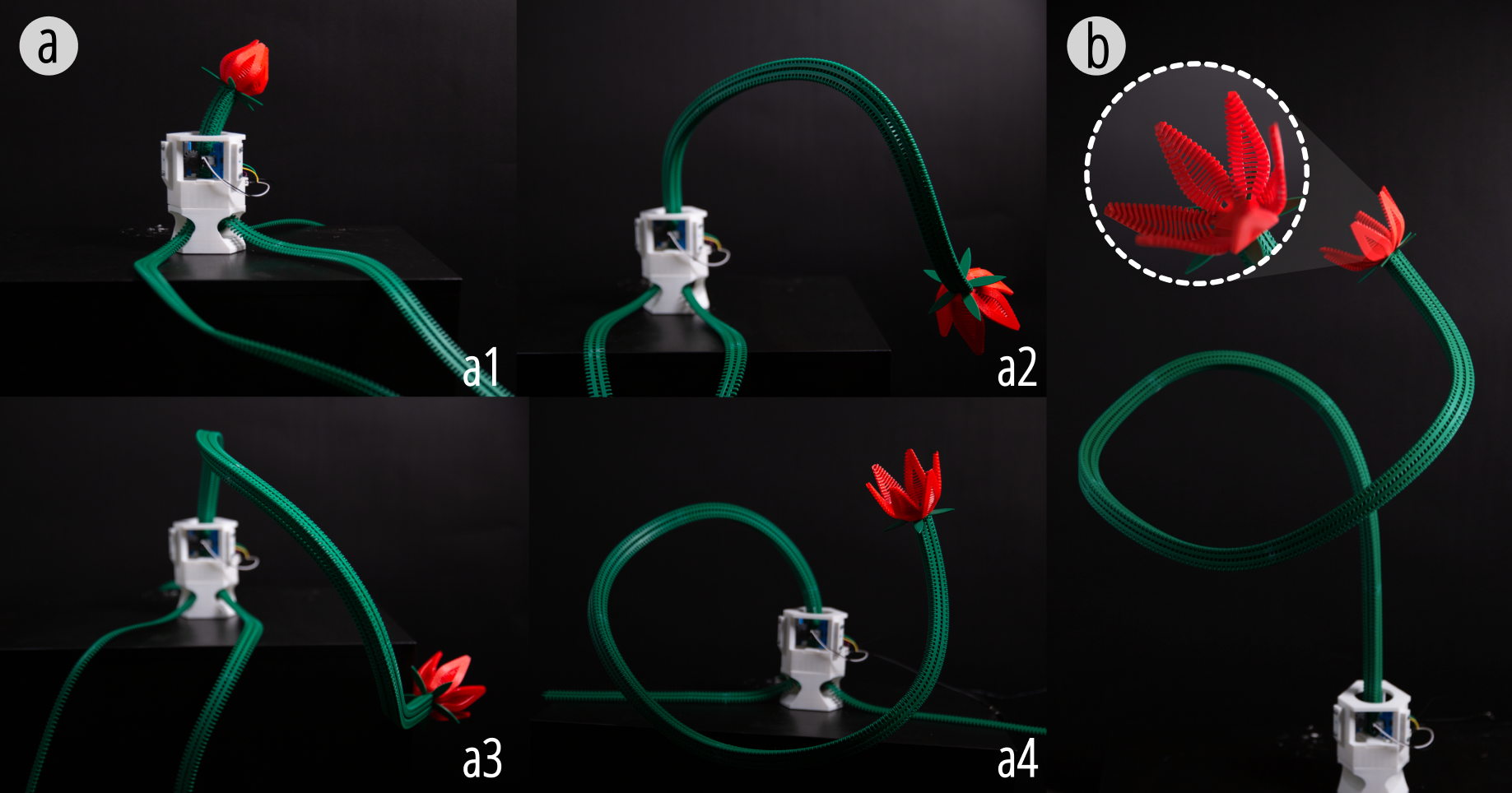 Y-zipper flower installation