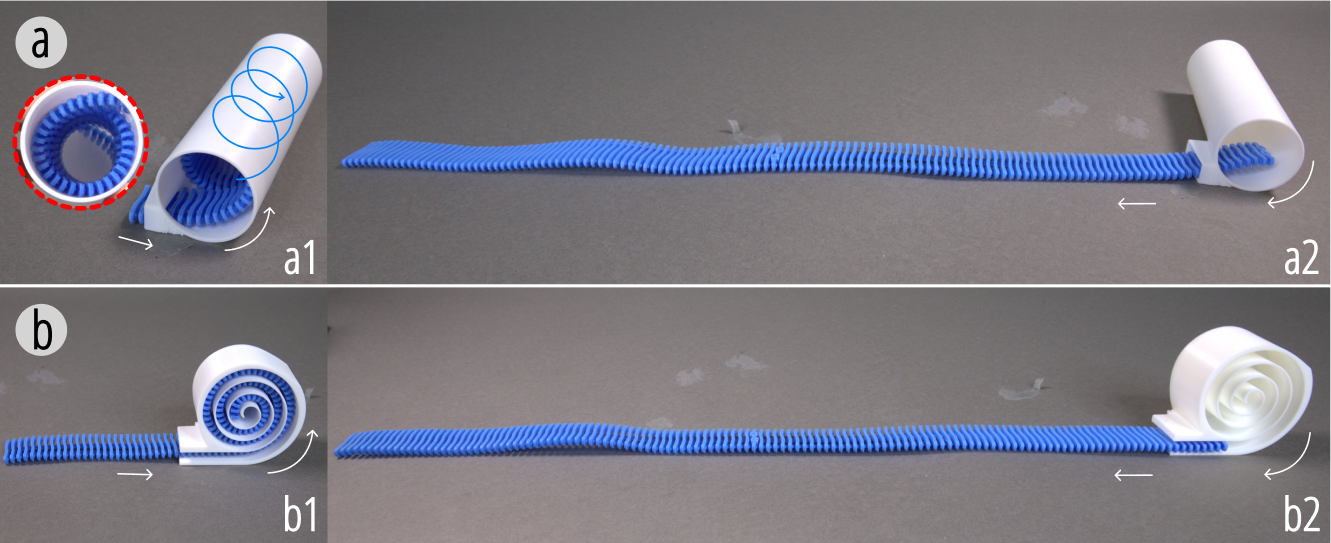 Y-zipper storage structures