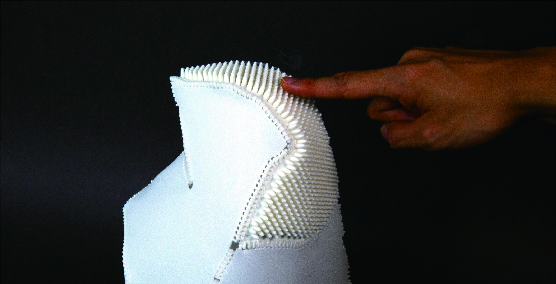 Texture modification on bird model